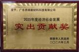 2025突出贡献奖.jpg